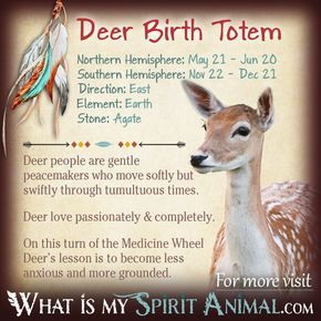 Is Deer your Birth Totem? Read the in depth description in my Native American Zodiac & Astrology series! Learn Deer's personality, compatibility, & more! What Is My Spirit Animal, Birth Totem, Native American Astrology, Personality Compatibility, Animal Totem Spirit Guides, Native American Zodiac, Spirit Animal Meaning, Native American Prayers, Native American Totem