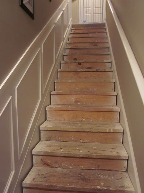 Lipstick and a Brad Nailer ... are the only essentials : Day 1 of Retrofitting Stair Tread Project: Epic Failure Lowes Carpet, Pine Stair Treads, Bullnose Carpet Stair Treads, Staircase Contemporary, Wood Stair Treads, Stair Tread Covers, Carpet Treads, Removing Carpet, Stairs Makeover