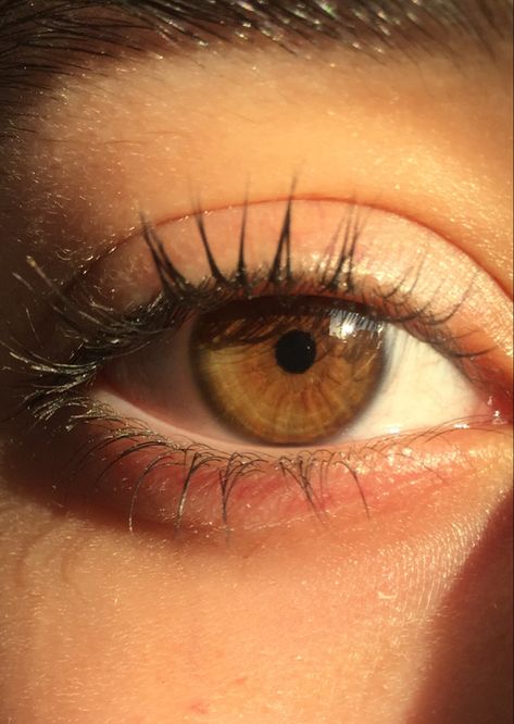 #hazel#eye#hazeleye Color Changing Eyes, Hazel Eyes Wallpaper, Hazel Eyes Aesthetic Girl, Hazel Brown Eyes Aesthetic, Hazel Eye Aesthetic, Aesthetic Hazel Eyes, Hazel Eyes Girl, Pretty Hazel Eyes, Hazel Core