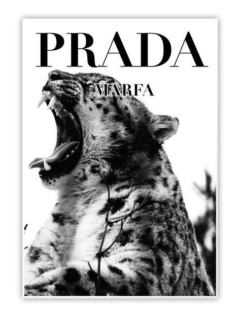 High quality Prada Marfa fashion poster featuring a Cheetah. Check out the rest of the site for similar stylish, high quality and fashionable decor! Prada Poster, Cheetah Poster, Cheetah Pictures, Leopard Print Wallpaper, Posters On Wall Bedroom, Prada Marfa, Vintage Poster Design, Dream Aesthetic, Poster Room