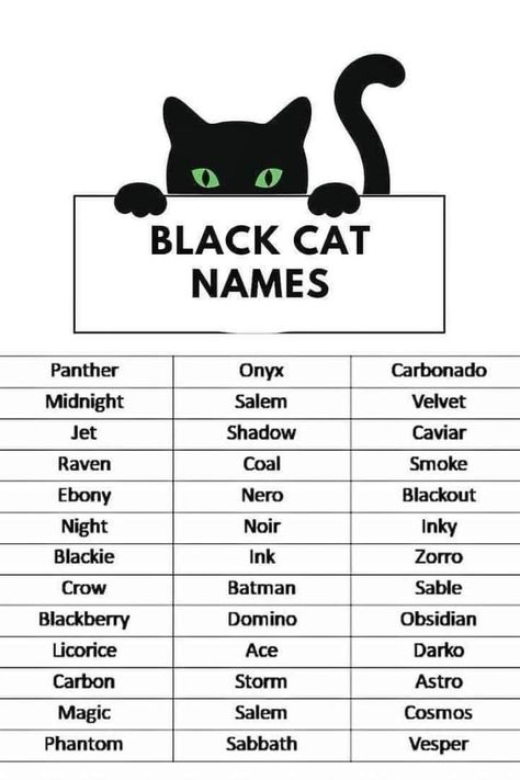 Black Panther Name, Cat Names Boy, Black Cat Personality, Black Cat Meaning, Black Cat Names, Witchy Names, Cat Knowledge, Cat Symbolism, Warrior Cat Names