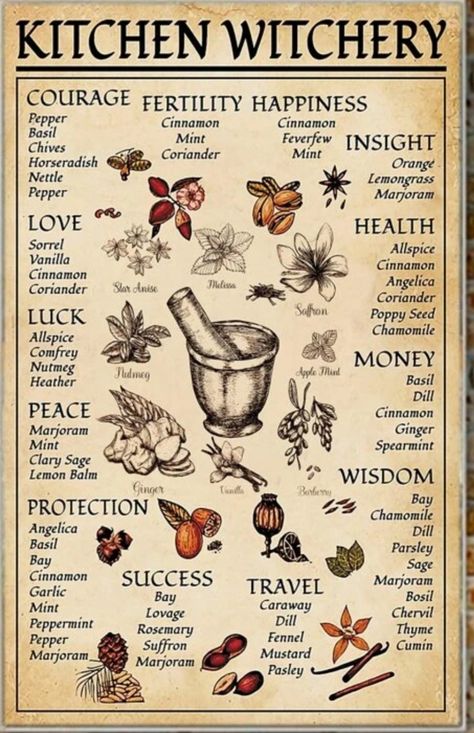 Apothecary Illustration, Cinnamon Basil, Herbal Witch, Kitchen Witch Recipes, Cottagecore Wallpaper, 78 Tarot Cards, Apple Mint, Jar Spells, Kitchen Witchery