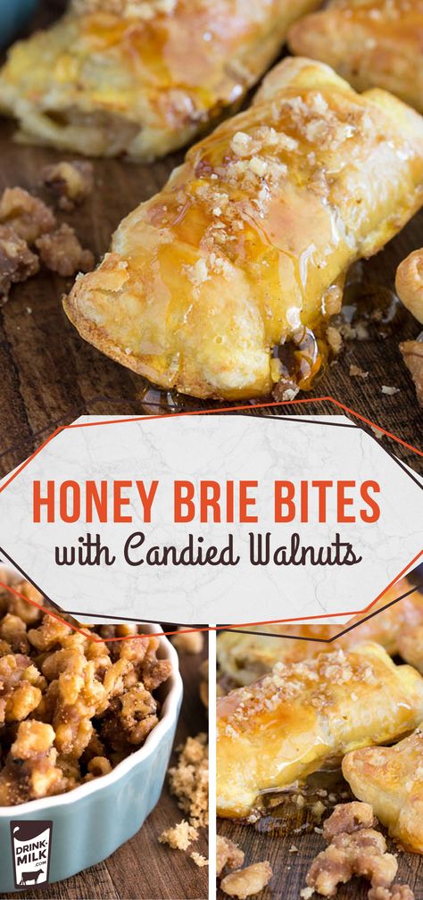 Honey Brie Bites with Candied Walnuts- it's impossible to eat just one! Mini Brie Honey Bites, Honey Brie Bites, Appetizers Brie, Honey Brie, Brown Sugar Recipes, Brie Bites, Honey Walnut, Baklava, Yummy Appetizers