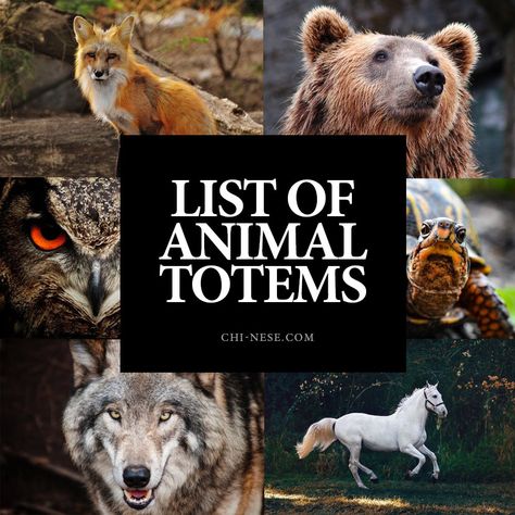 animal totems Animal Totems Spirit Guides, Totem Animals Meaning, Birth Totem Animals, Spirit Animal List, Animal Totem Pole, Element Animals, Animal Totem Spirit Guides, Native American Animals, Totem Animals