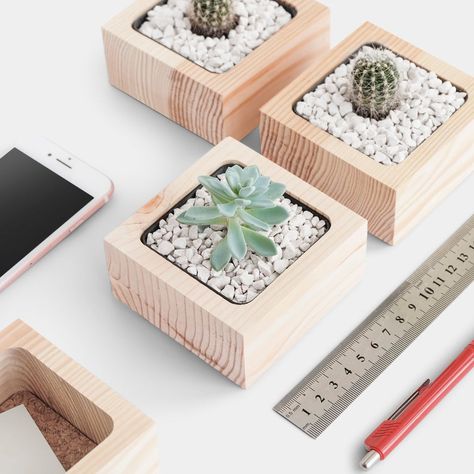 Diy Projects Wood, Kaktus Dan Sukulen, Wood Working Ideas, Desk Plant, Wooden Plant Pots, Pins Ideas, Wooden Pot, Woodwork Diy, Office Desk Accessories