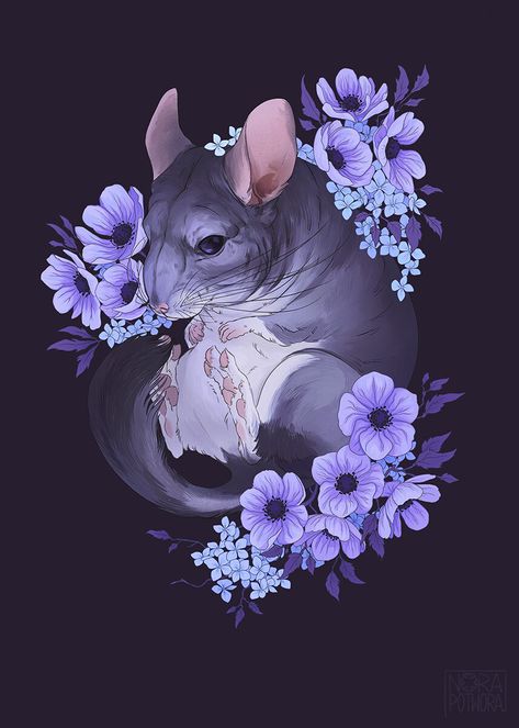 Nora Potwora, Illustration Kunst, Animal Poster, Flowers Canvas, Chinchillas, Arte Inspo, Animals Artwork, Animal Posters, Arte Animal