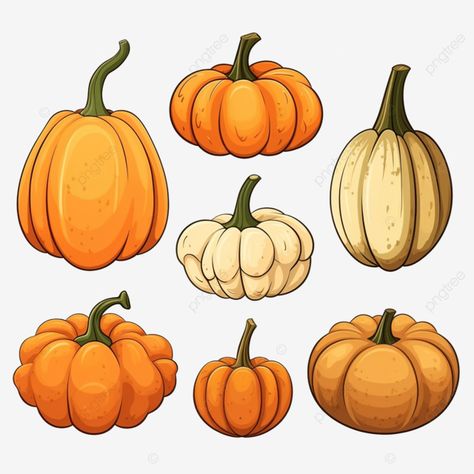 cartoon halloween pumpkin set gourd fresh organic vegetable thanksgiving or halloween simple pumpk Pumpkins Drawings, Pumpkin Types, Pumpkin Cartoon, Pumpkin Character, Big Pumpkin, Cartoon Pumpkin, Mailbox Ideas, Thanksgiving Clipart, Simple Thanksgiving