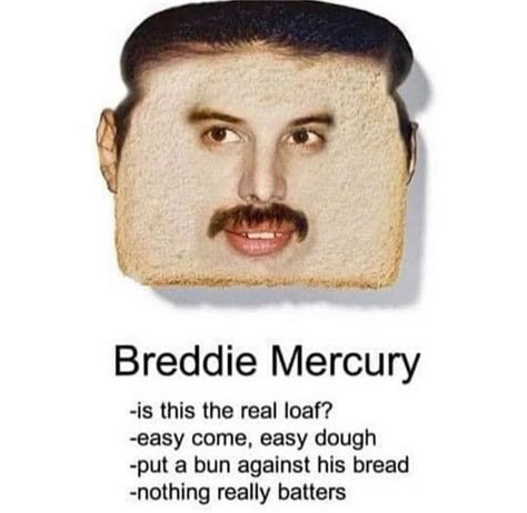 Queen Humor, Queen Band, Random Memes, Freddie Mercury, Really Funny Pictures, Haha Funny, Reaction Pics, Ha Ha, Mood Pics