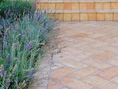 Eco Outdoor handmade Antico Luce Cotto tavella tiles on pathway. Eco Outdoor | Terracotta pavers tiles | livelifeoutdoors | Outdoor Design | Natural stone flooring | Garden design | Outdoor paving | Outdoor design inspiration | Outdoor style | Outdoor ideas | Luxury homes | Paving ideas | Garden ideas | Natural stone paving | Floor tiles | Outdoor tiles | Courtyard Terracotta Pavers, Terracotta Tiles Outdoor, Italian Landscaping, Front Pathway, Floor Tiles Outdoor, Terracotta Patio, Dark Home Aesthetic, Terracotta Tile Floor, Outdoor Tiles Floor