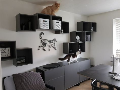 Eket Inspiration, Ikea Cat Wall, Us Cats, Ikea Cat, Ikea Eket, Crate Bookshelf, Cat Wall Shelves, Living With Cats, Cat House Diy