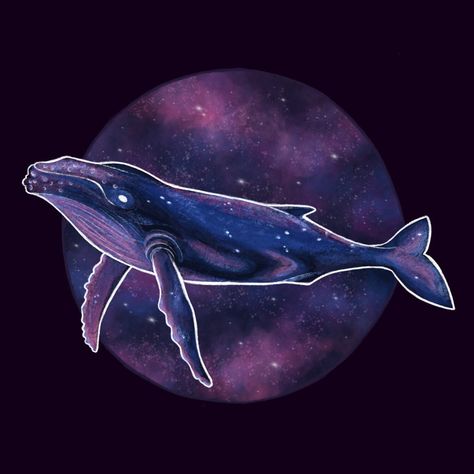 Galaxy Whale, Space Whale, White Whale, Dope Art, Sea Animals, Graphic Poster, Sea Creatures, Dolphins, Fantasy Creatures