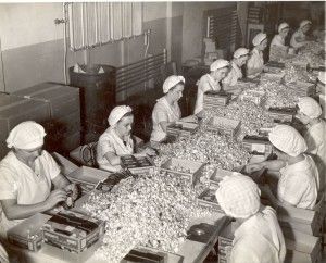 Wrapping Hershey's Kisses by hand.  Hershey Factory 1937. Hershey Factory, Milton Hershey, Scandinavian Heritage, Pennsylvania History, Hershey Park, Maritime Decor, Astoria Oregon, Chocolate Pictures, Hershey's Kisses