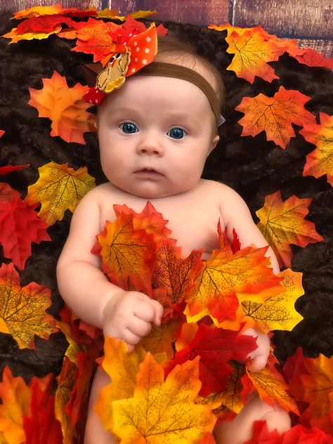 2 Month Fall Photoshoot, 3 Month Thanksgiving Pictures, Fall Newborn Photo Ideas, Fall Photos For Baby, Fall Pictures With Newborn, Newborn Baby Fall Photoshoot, Fall Photoshoot Newborn, Newborn Halloween Photos, Thanksgiving Baby Picture Ideas