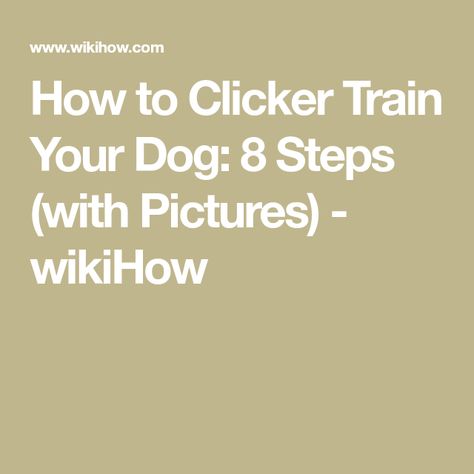 Clicker Training Puppy, Hickory Tree, Dog Clicker Training, Dog Search, Train Your Dog, Purebred Dogs, Dog Help, Older Dogs, Free Dogs