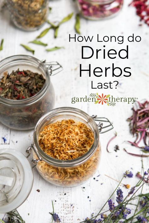 How Long Do Dried Herbs Last? - Garden Therapy Dried Herbs For Health, Best Way To Dry Herbs, Dried Herb Storage, Herbs And Spices Safe For Dogs, How To Tie Herbs For Drying, Fresh To Dried Herb Conversion, Herbs For Cooking, Herb Storage, Natural Cleaning Products Diy