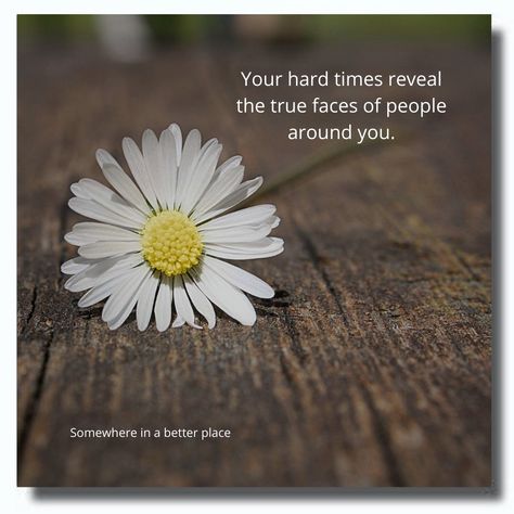 Your hard times reveal the true faces of people around you. True Colors Of People Quotes, Hard Times Reveal True People, Faces Of People, Open Your Eyes, God Loves Me, People Quotes, Hard Times, Single Mom, Real People