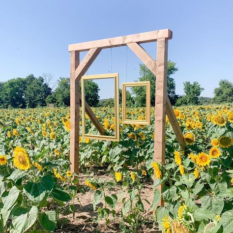 Pumpkin Patch Business, Agritourism Farms, Pumpkin Patch Farm, Sunflower Patch, Cut Flower Farm, Farm Day, Farm Business, Farm Fun, Future Farms