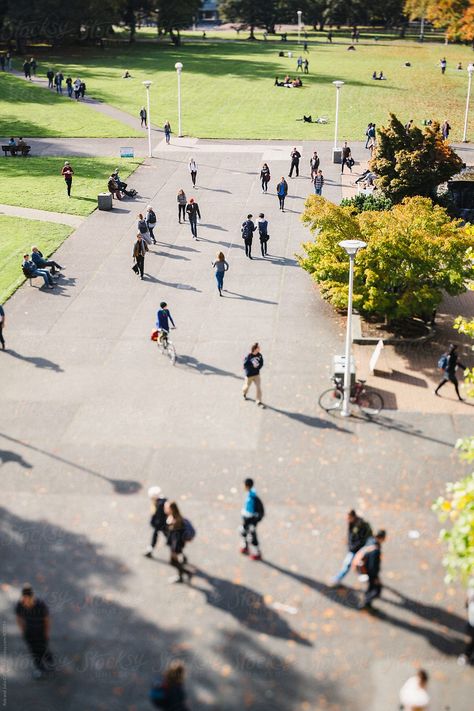 High view of people - students -  walking on college campus by Rob and Julia Campbell for Stocksy United Organizational Change, Going Back To College, Bad Haircut, Melrose Place, University Of Houston, Dave Matthews Band, Clinique Makeup, College Campus, Life Facts