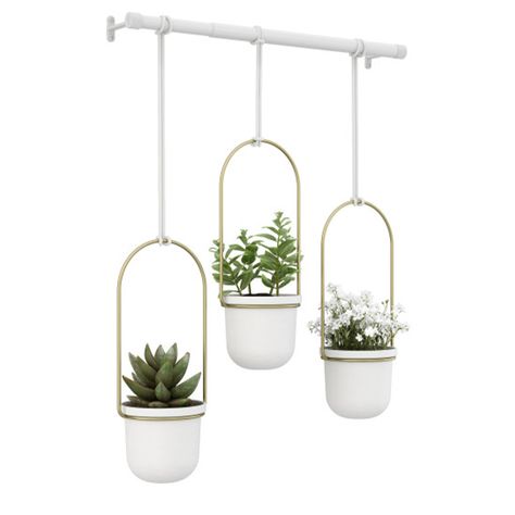 Umbra Triflora Hanging Planter | homewareonline.co.nz Brass Rod, Plastic Flower Pots, Indoor Herb Garden, Herbs Indoors, Small Planter, Hanging Pots, Hanging Planter, Plastic Flowers, Wall Planter