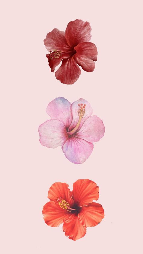 Summer 2024 Wallpaper Iphone, Summer Inspo Wallpaper, One Love Aesthetic, Beach Aesthetic Prints, 2014 Summer Wallpaper, Flower Lock Screen Wallpaper, Hibiscus Wallpaper Aesthetic, Wallpaper Backgrounds Boho, Girliesigns Account