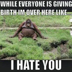 While everyone is giving birth, I'm over here like... I hate you!! READ: My Baby’s Birth Story Due Date Quotes, Baby Fever Quotes, Overdue Pregnancy, Fever Quotes, Date Quotes, Funny Pregnancy Memes, 39 Weeks Pregnant, 38 Weeks Pregnant, Pregnancy Memes