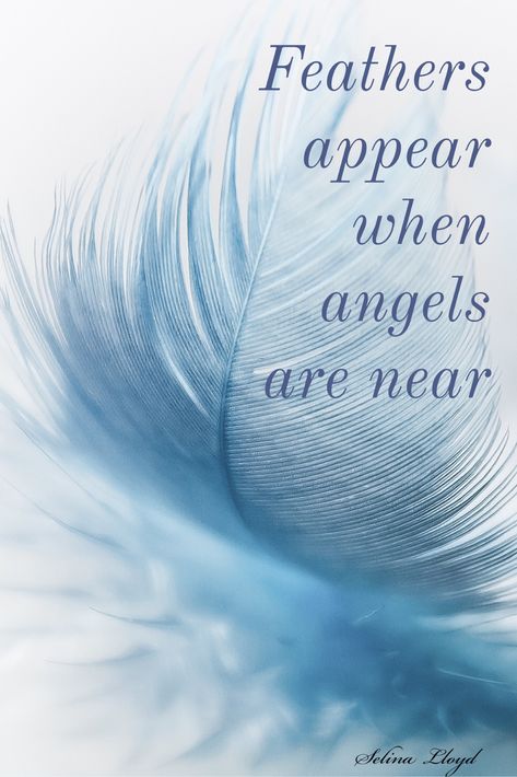 Believe in miracles Feathers Appear When Angels Are Near, Angel Sayings And Quotes, Angels Quotes, Feather Quotes, Word Tattoo Ideas, American Indian Quotes, Angel Feather, Word Tattoo, Indian Quotes