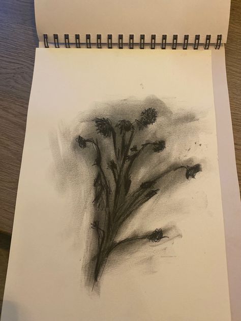 Charcoal Sketches Ideas, Gloomy Drawing Ideas, Charcoal Nature Art, Ink Drawing Aesthetic, Flowers Charcoal Drawing, Charcoal Art Flowers, Charcole Drawings Easy, Graphic Drawing Ideas, Charcoal Easy Drawing