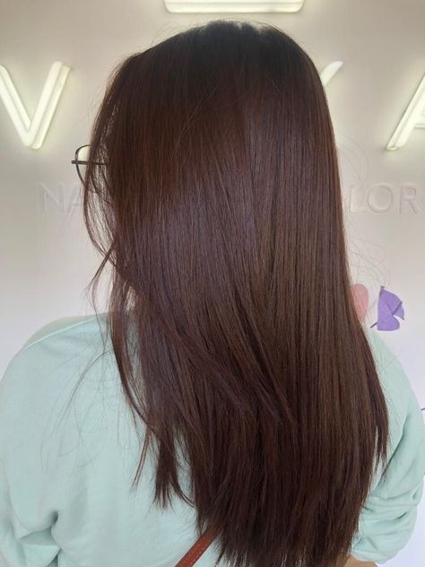 Chesnutt Brown Color Hair Straight, No Bleach Hair Color For Dark Hair, Dark Copper Brown Hair, Brown Haircut, Brown Hair Inspiration, Chestnut Hair, Warm Scarves, Brown Hair Looks, Brown Hair Inspo