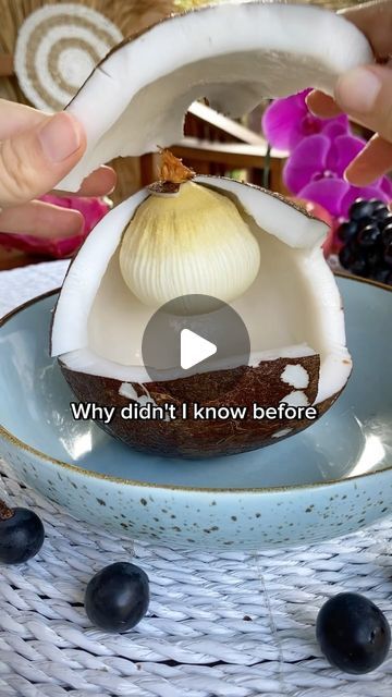 How To Open A Coconut, How To Open A Coconut Easy, Dessicated Coconut Recipe Baking, Toasting Coconut Flakes, Ways To Use Coconut Water, Coconut Bread, Coconut Cookies, Healthy Cookies, Food Videos Cooking