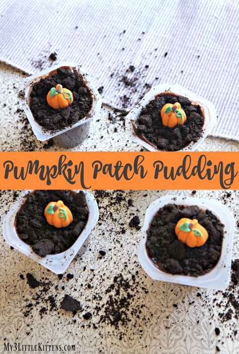 Fun Pumpkin Patch Pudding Cups - My 3 Little Kittens Mini Pumpkin Patch, Chocolate Pudding Cups, Dessert Halloween, Pudding Parfait, Pumpkin Pudding, Pudding Dessert, Cat Cupcakes, Pumpkin Spice Cookies, Fun Pumpkins