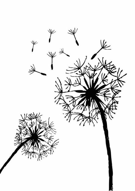 Free Printable Dandelion Stencils | Dandelion - plus lots of other free graphics Stencils Printables Templates, Wood Burning Patterns Stencil, Free Stencils Printables, Wood Burning Stencils, Pyrography Patterns, Stencils Printables, Wood Burning Crafts, Free Stencils, Wood Burning Patterns