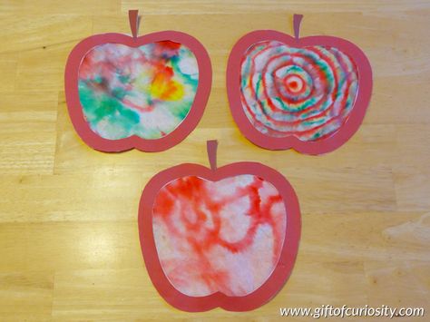 Apple coffee filter craft - use markers and a coffee filter to create these beautiful apple coffee filter crafts through the magic of chromatography #apples #handsonlearning #scienceandartcombined || Gift of Curiosity Rain Stick Crafts, Apple Art Projects, Apple Crafts Preschool, Rosh Hashana Crafts, Apple Crafts, September Crafts, Fruit Crafts, Jewish Crafts, Coffee Filter Crafts