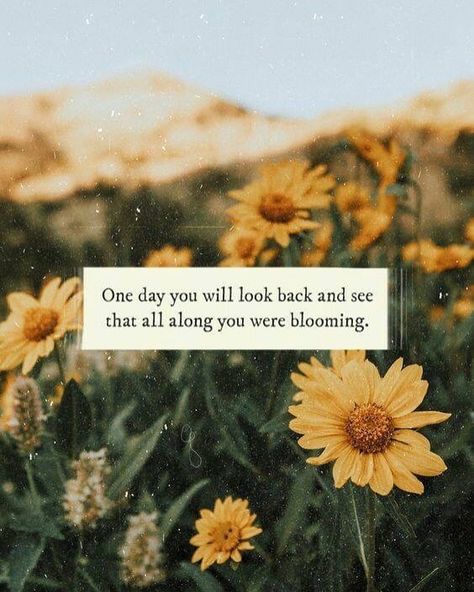 Yellow Flower Quotes, Flower Quotes Love, Sunflower Quotes, Sunflower Wallpaper, Super Quotes, Flower Quotes, Baby Quotes, Nature Quotes, New Energy