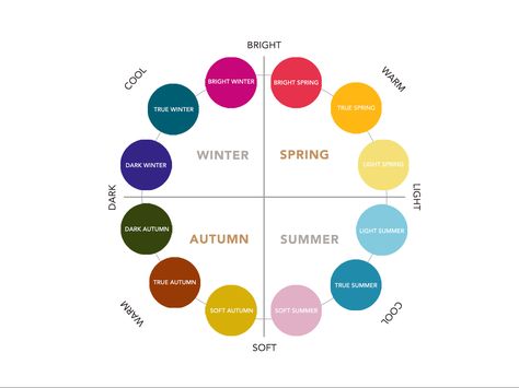 In this category, we explore each of the twelve sub-seasons of the seasonal colour analysis in greater detail. Find out which colours work best on you. True Winter Color Palette, Seasons Chart, True Spring Colors, Light Summer Color Palette, Soft Autumn Color Palette, Color Seasons, Soft Summer Color Palette, Birth Colors, Soft Summer Colors