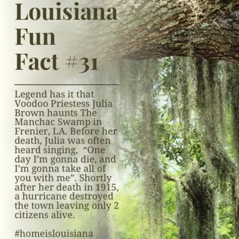 Cryptids Of Louisiana, Louisiana Voodoo Aesthetic, Swamp Costume, Louisiana Gothic, Louisiana Aesthetic, Louisiana Voodoo, Julia Brown, Louisiana Culture, Voodoo Queen