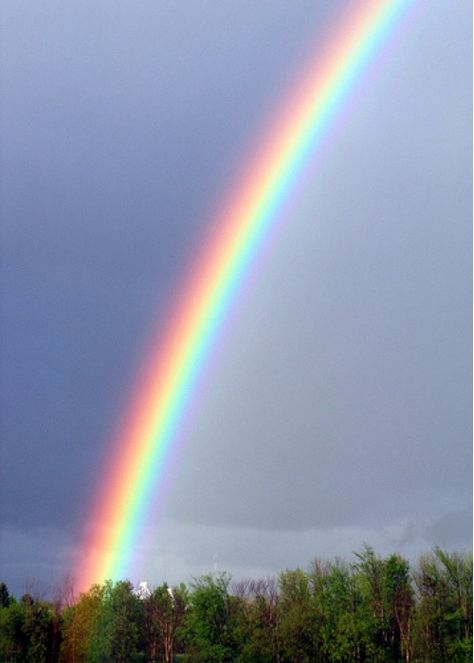 Rainbows In The Sky, Rainbow Rain, Wallpaper Disney, God's Promise, Double Rainbow, Rainbow Sky, Nature's Bounty, Love Rainbow, Travel Bug