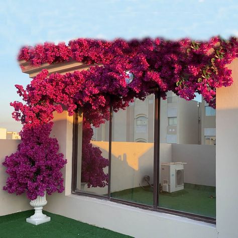 FC62001 high quality artificial silk bougainvillea flower garden wedding decoration Flower Garden Wedding, Bougainvillea Flower, Flower Decorations Diy, Garden Wedding Decorations, Bougainvillea, Wedding Decoration, Garden Wedding, Flower Decorations, Flower Garden