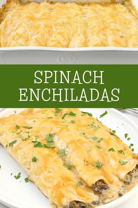 Green Chile Spinach Enchiladas Spinach Enchiladas, Green Chile Enchilada Sauce, Homemade Salsa Verde, Cheesy Enchiladas, Spinach Tortilla, Enchilada Ingredients, Vegetarian Enchiladas, Cheese Enchiladas, Green Enchilada Sauce