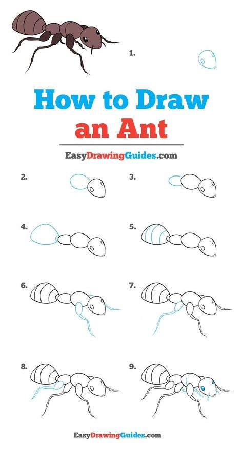 Learn How to Draw an Ant: Easy Step-by-Step Drawing Tutorial for Kids and Beginners. #Ant #DrawingTutorial #EasyDrawing See the full tutorial at https://easydrawingguides.com/how-to-draw-an-ant/. How To Draw Bugs Step By Step, How To Draw Insects Step By Step, How To Draw An Ant, Ant Drawing Easy, How To Draw Bugs, Trin For Trin Tegning, Ant Drawing, Running Drawing, Disney Drawing Tutorial