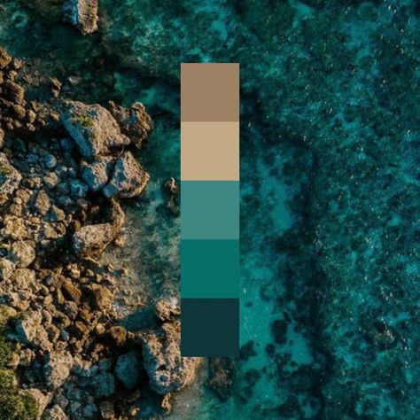 Color Pallets With Teal, Moody Green Blue Color Palette, Teal Black Color Palette, Teal Green Gold Color Palette, Emerald Green Color Scheme, Teal Pantone Colour Palettes, Deep Sea Colour Palette, Dark Teal Color Palette, Deep Sea Color Palette