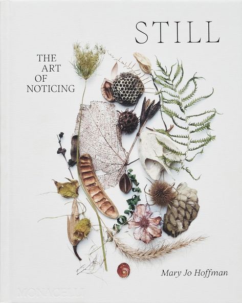 Amazon.com: STILL: The Art of Noticing: 9781580936330: Hoffman, Mary Jo: Books Watercolor Board, The Art Of Noticing, Art Of Noticing, Mary Jo Hoffman, Nature Collage, Illustration Botanique, Nature Collection, Daily Ritual, Nature Journal