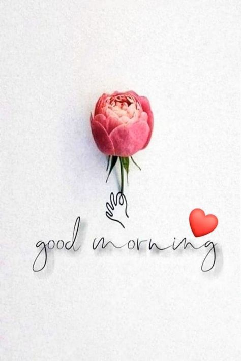 Cute Good Morning Gif, Good Morning Posters, Good Morning Cartoon, Good Morning Massage, Special Good Morning, Good Morning Saturday, Good Morning Sweetheart Quotes, Cute Good Morning Images, Morning Nature