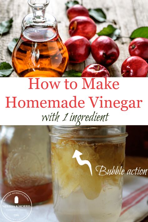 Learn how to make fruit vinegar from scratch with just 1 ingredient! Once you see how easy, and delicious, it is to make without any special equipment, you'll never go back to store-bought. #fermenting #fromscratch #DIY Soaking Fruit In Vinegar, Making Vinegar From Fruit, How To Make Distilled Vinegar, Elderberry Vinegar, Making Flavored Vinegars, Making Apple Cider Vinegar From Scraps, Diy Vinegar, Plum Vinegar, How To Make Vinegar