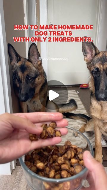 Ruby & Red on Instagram: "Very easy homemade dog treats. 

#treats #food #pets #dogslife #dogsofinsta #germanshepherd #gsdpuppy #reels #reelsvideo #insta #instadaily" Health Dog Treats, How To Make Dog Treats Easy, Fancy Dog Treats Homemade, Puppy Treats Homemade Easy, Training Treats For Puppies, Long Lasting Dog Treats Homemade, Homemade Healthy Dog Treats, Puppy Treats Homemade, Puppy Recipes