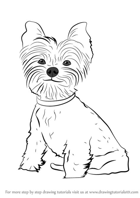 Learn How to Draw Yorkie Puppy (Dogs) Step by Step : Drawing Tutorials Yorkie Drawings, Yorkie Drawing, Puppy Drawing Easy, Yorkie Painting, Dog Drawings, Arte Quilling, Cute Puppy Breeds, Puppy Drawing, Yorkie Terrier