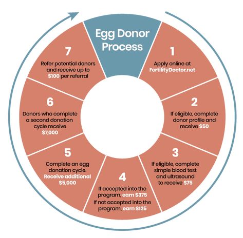 Egg Donation | Center For Reproductive Health Egg Donor, Egg Donation, Health Screening, Genetic Testing, Reproductive Health, Return To Work, Apply Online, Egg, How To Become