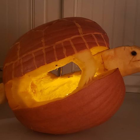 Turtle Pumpkin Carving, Turtle Pumpkin, Creative Pumpkin Carving Ideas, Awesome Pumpkin Carvings, Halloween Pumpkin Carving Stencils, Carving Stencils, Get Ready For Halloween, Easy Pumpkin Carving, Creative Pumpkin Carving