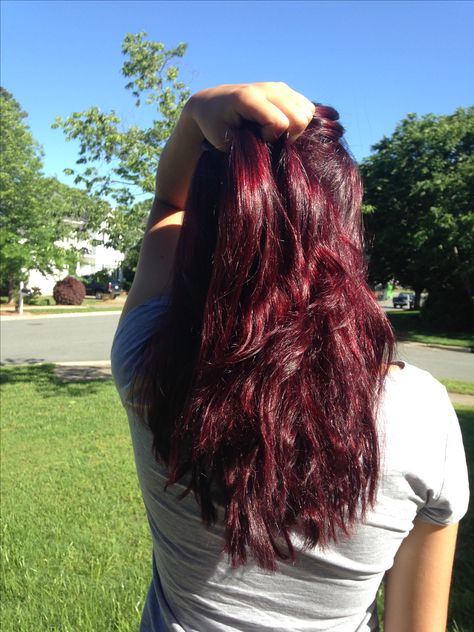 Box dye from Féria (R48) Box Dye Red Hair, Red Hair Box Dye, Red Box Dye, Black Cherry Hair Color, Black Cherry Hair, Cherry Hair Colors, Cherry Red Hair, Box Dye, Black Hair Dye