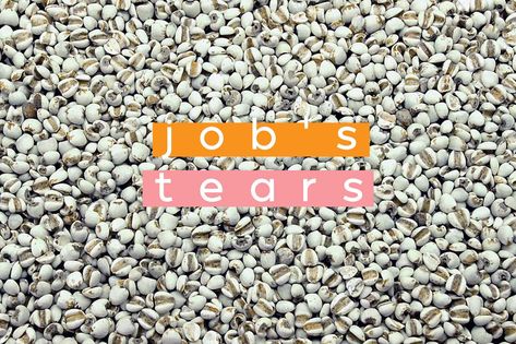 Job’s Tears Recipe, Jobs Tears, Barley Water, Making Drinks, Ale Recipe, Healthy Healing, Job's Tears, Sweet Soup, Pearl Barley