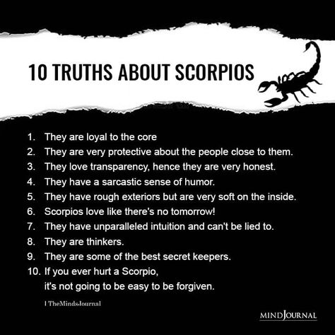 Minds Journal - Mind Journal Scorpio Zodiac Facts Man, Facts About Scorpio, Dating A Scorpio, Birth Totem, Scorpio Characteristics, Scorpio Power, Zodiac Mind Scorpio, About Scorpio, Scorpio Ascendant